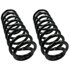 MOOG Coil Spring (81069)