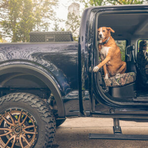 AMP Research Powerstep - 1999-2001 FORD F-250 SUPER DUTY, 8 applications