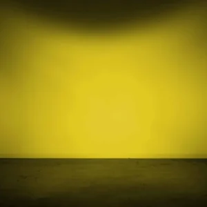 Morimoto Lens Only: 4Banger (Yellow / Flood / Each)